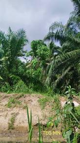 Agricultural-Land-for-sale-Telok-Panglima-Garang-Selangor