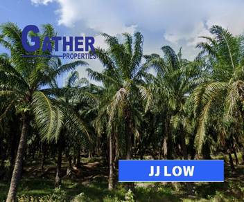 Residential-Land-for-sale-Kuala-Ketil-Kedah