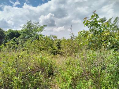 Agricultural-Land-for-sale-Kuala-Ketil-Kedah-2