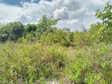 Agricultural-Land-for-sale-Kuala-Ketil-Kedah-3