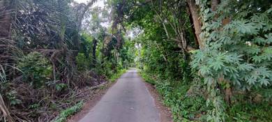 Agricultural-Land-for-sale-Raub-Pahang