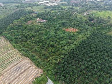 FREEHOLD NON BUMI LOT Vacant Agriculture Land TOWN AREA Taman Ria Jaya