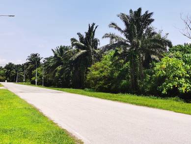 Industrial-Land-for-sale-Kuala-Ketil-Kedah
