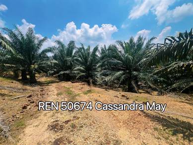 124 acres Freehold Agriculture Oil Palm Land Rembau Negeri Sembilan
