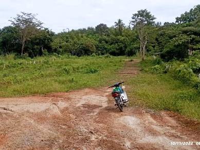 Agricultural-Land-for-sale-Sik-Kedah