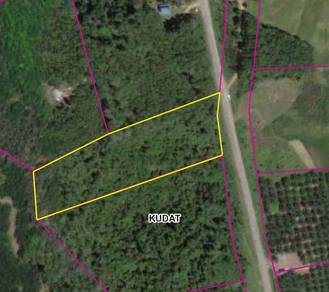 Roadside CL Land at Kudat For Sale