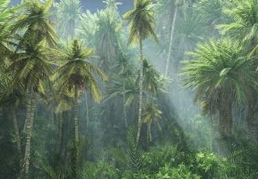 Agricultural-Land-for-sale-Jelebu-Negeri-Sembilan