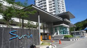 Surin