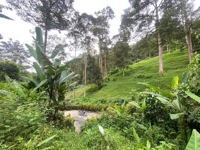 Agricultural-Land-for-sale-Hulu-Langat-Selangor