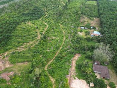 Agricultural-Land-for-sale-Kuala-Ketil-Kedah
