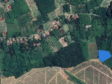 Freehold Open Agriculture Land Tanah Bukit Senggeh , Jasin , Melaka