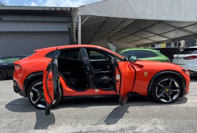 Ferrari PUROSANGUE 6.5 V12 Rosso Dino 725Hp