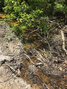 Agricultural-Land-for-sale-Kuala-Terengganu-Terengganu