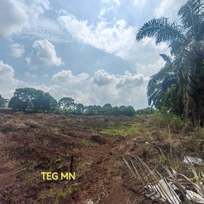 Agricultural-Land-for-sale-Telok-Panglima-Garang-Selangor