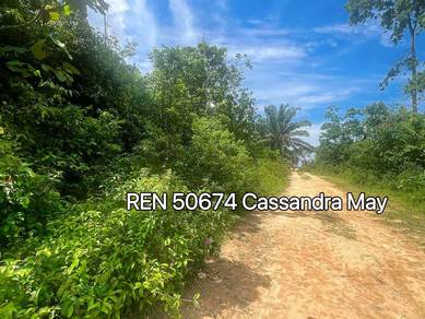 Agricultural Land Freehold Nearby Residential Area Alor Gajah Melaka