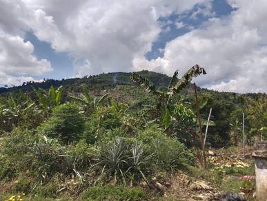 Land-for-sale-Raub-Pahang