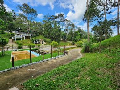Agricultural-Land-for-sale-Jelebu-Negeri-Sembilan