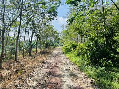 Agricultural-Land-for-sale-Others-Melaka