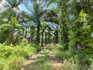 Industrial-Land-for-sale-Telok-Panglima-Garang-Selangor