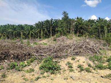 Tanah Pertanian Agriculture 5.3 ekar Kg Doja Jerantut NonBumi Lot