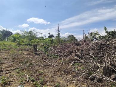 Agricultural-Land-for-sale-Jerantut-Pahang-1