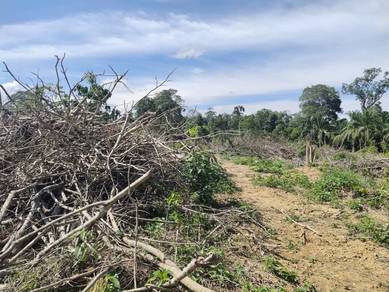 Agricultural-Land-for-sale-Jerantut-Pahang-2