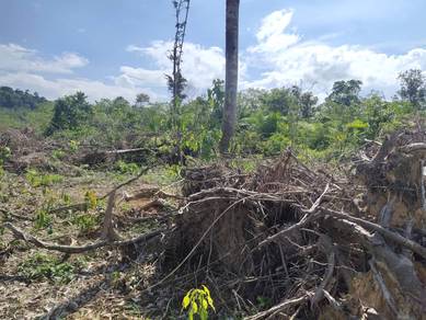 Agricultural-Land-for-sale-Jerantut-Pahang-3