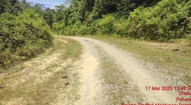 Tanah Pertanian Agriculture Kg Kuala Kenong Lipis 5.56 ekar NonBumi