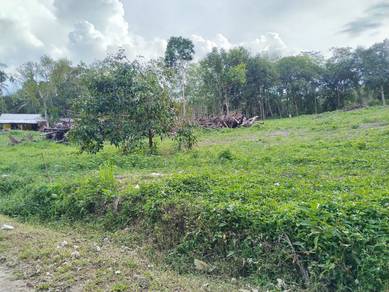 Agricultural-Land-for-sale-Kuala-Ketil-Kedah-1