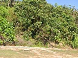 Commercial-Land-for-sale-Sepang-Selangor