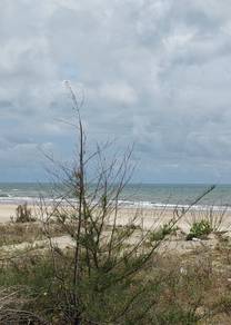 Residential-Land-for-sale-Kuala-Terengganu-Terengganu