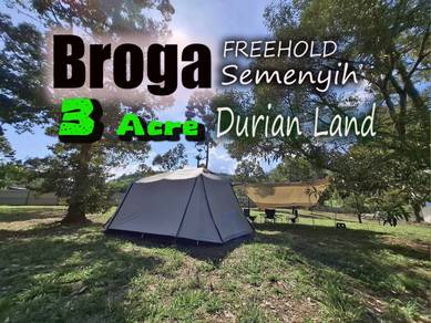 Broga Semenyih Durian Orchard 3 Acre Freehold Already Fruit Bearing