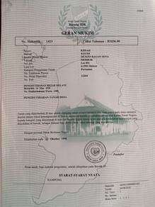 Agricultural-Land-for-sale-Kulim-Kedah