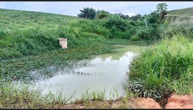 Agricultural-Land-for-sale-Senai-Johor