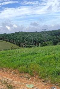 Agricultural-Land-for-sale-Senai-Johor-2