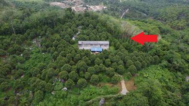 Agricultural-Land-for-sale-Raub-Pahang
