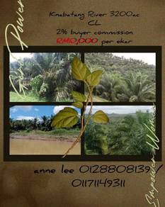 Kinabatangan River,  3200 acres Agriculture CL Land