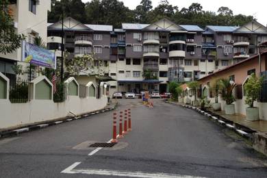Mutiara Perdana (Sungai Ara)