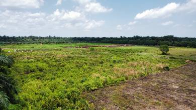 Agricultural-Land-for-sale-Sepang-Selangor