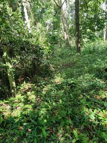 Agricultural-Land-for-sale-Jitra-Kedah