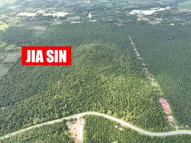 Prime Freehold 129.42 acre Agricultural Land for SALE Kedah