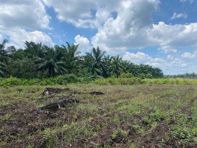 Agricultural-Land-for-sale-Sepang-Selangor