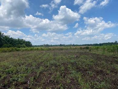 Agricultural-Land-for-sale-Sepang-Selangor-1