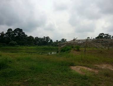 Agricultural-Land-for-sale-Batang-Kali-Selangor