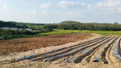Land-for-sale-Changlun-Kedah-1