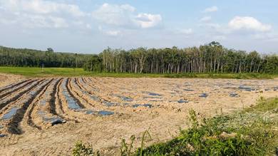 Land-for-sale-Changlun-Kedah-3