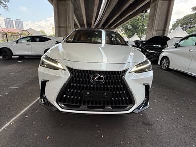 Lexus NX250 2.5 Roof 360V H/Up Disp BSM DIM