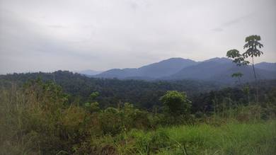 Agricultural-Land-for-sale-Batang-Kali-Selangor