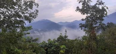 Hilltop!Tanah Batang Kali @ Hulu Rening
