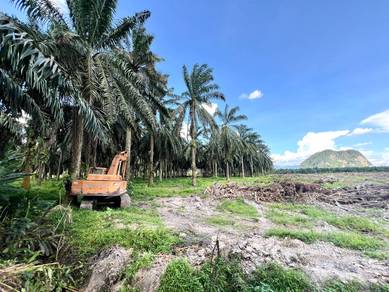 Agricultural-Land-for-sale-Ipoh-Perak